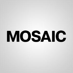 Mosaic. Крупнейшее digital-агентство России