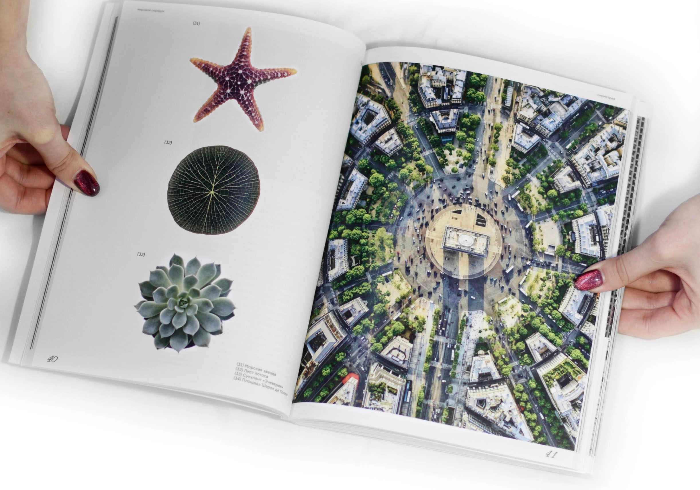 Институт бизнеса и дизайна