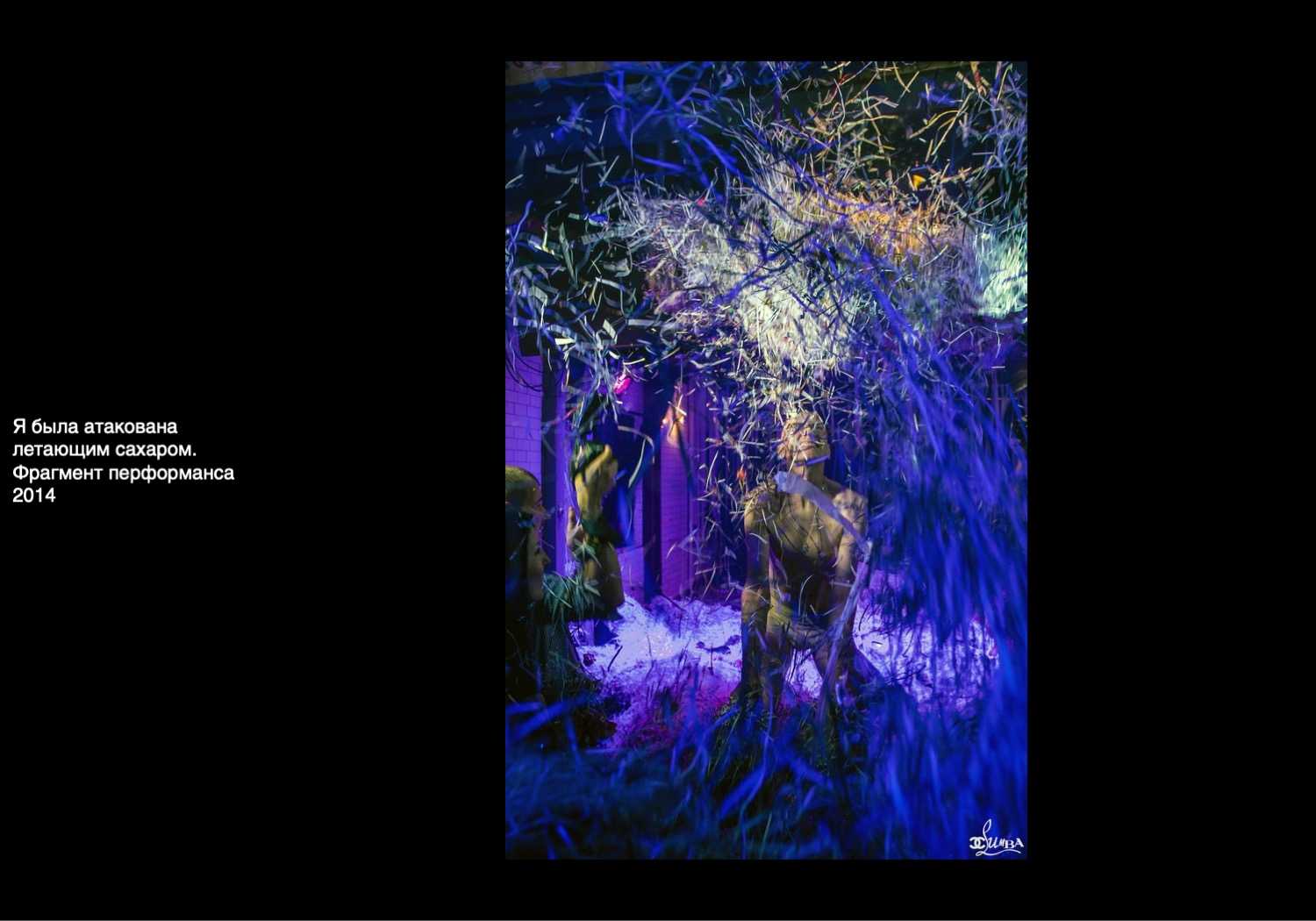 Институт бизнеса и дизайна