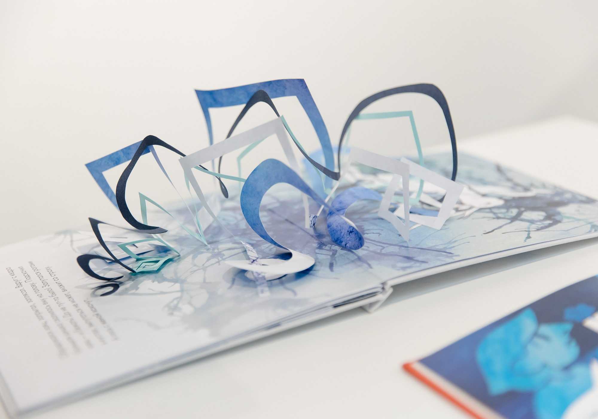 Институт бизнеса и дизайна