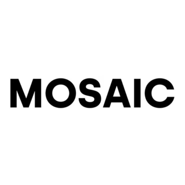 Mosaic. Крупнейшее digital-агентство России
