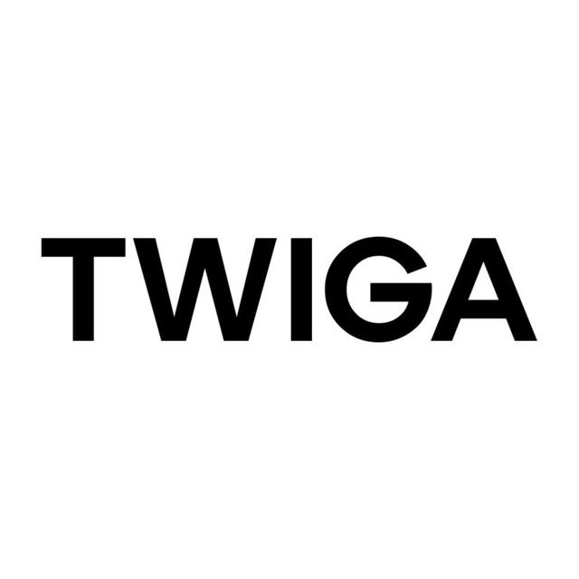 TWIGA CG. Группа коммуникационных маркетинговых агентств