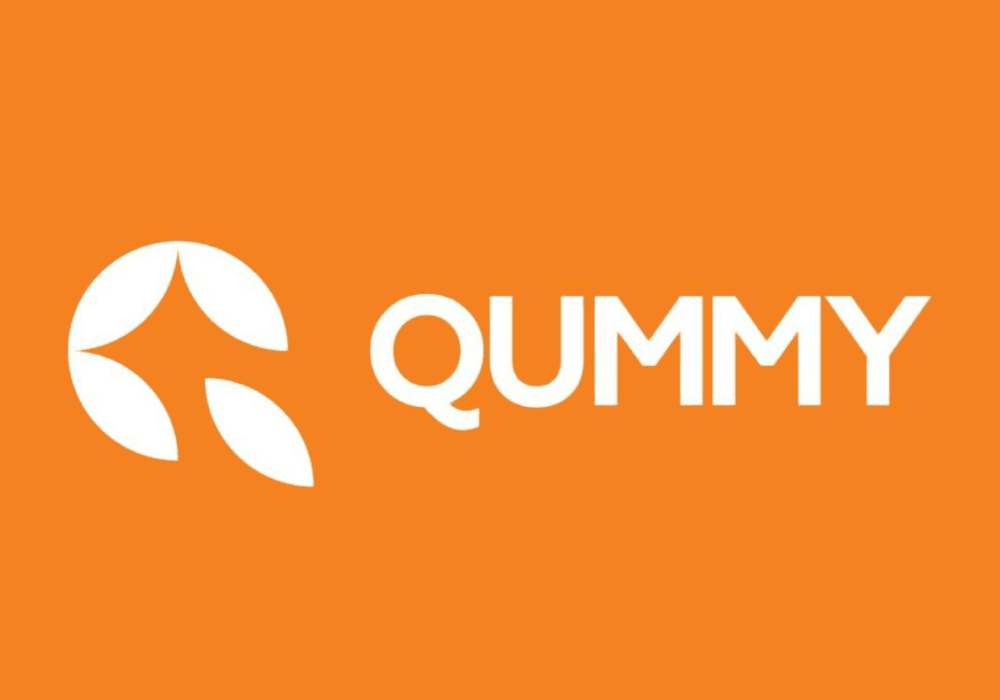 Межвузовский конкурс Digital Practica. Бриф «Qummy»