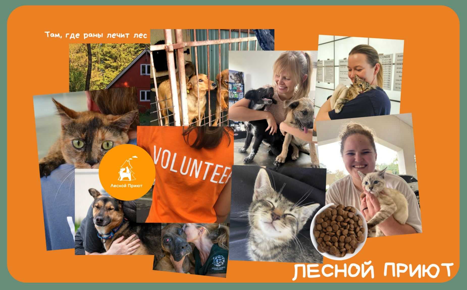 Институт бизнеса и дизайна