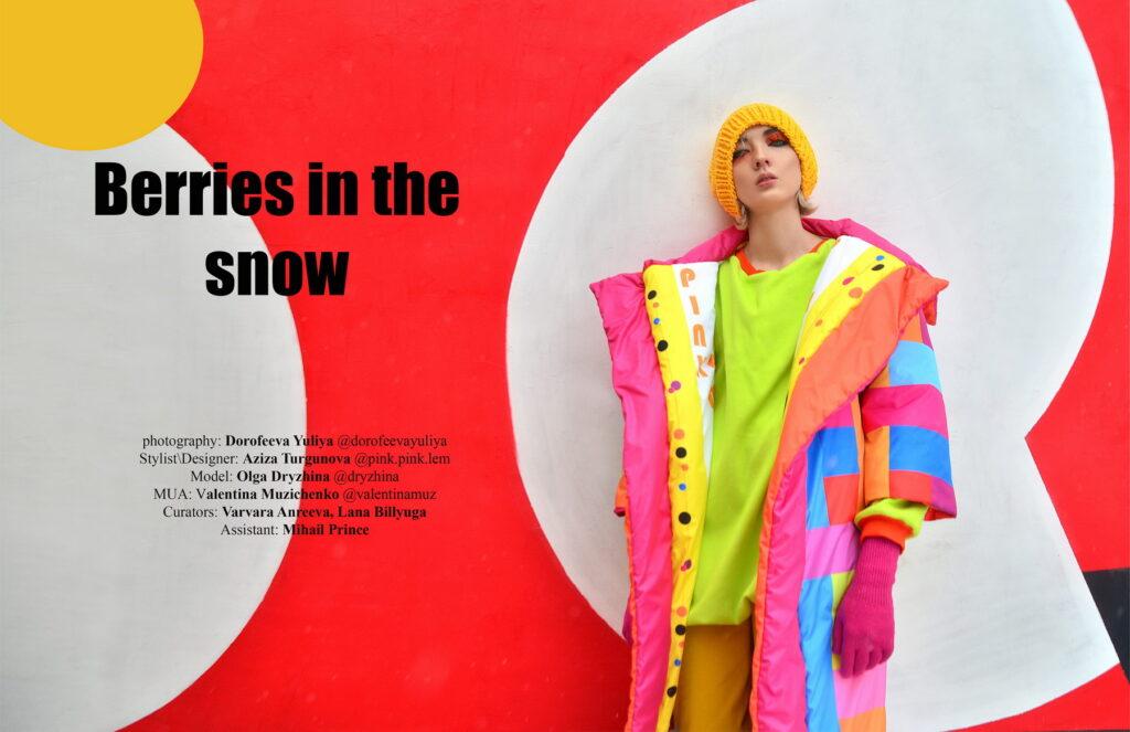 Институт бизнеса и дизайна