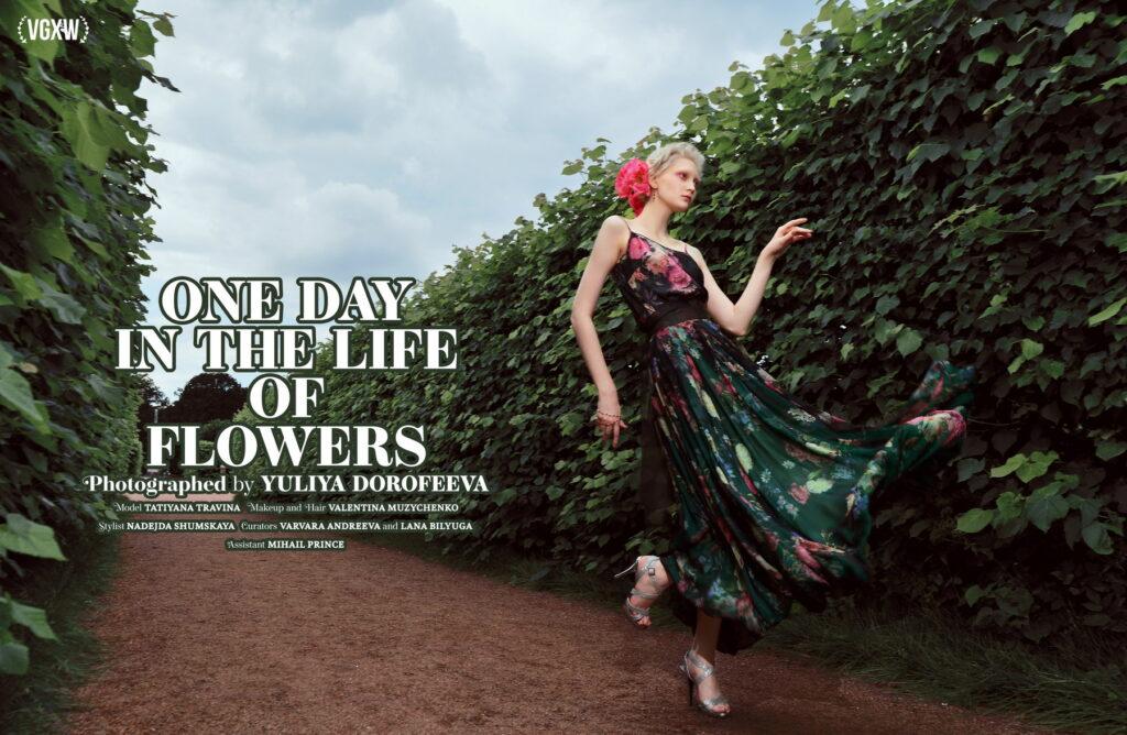 Институт бизнеса и дизайна